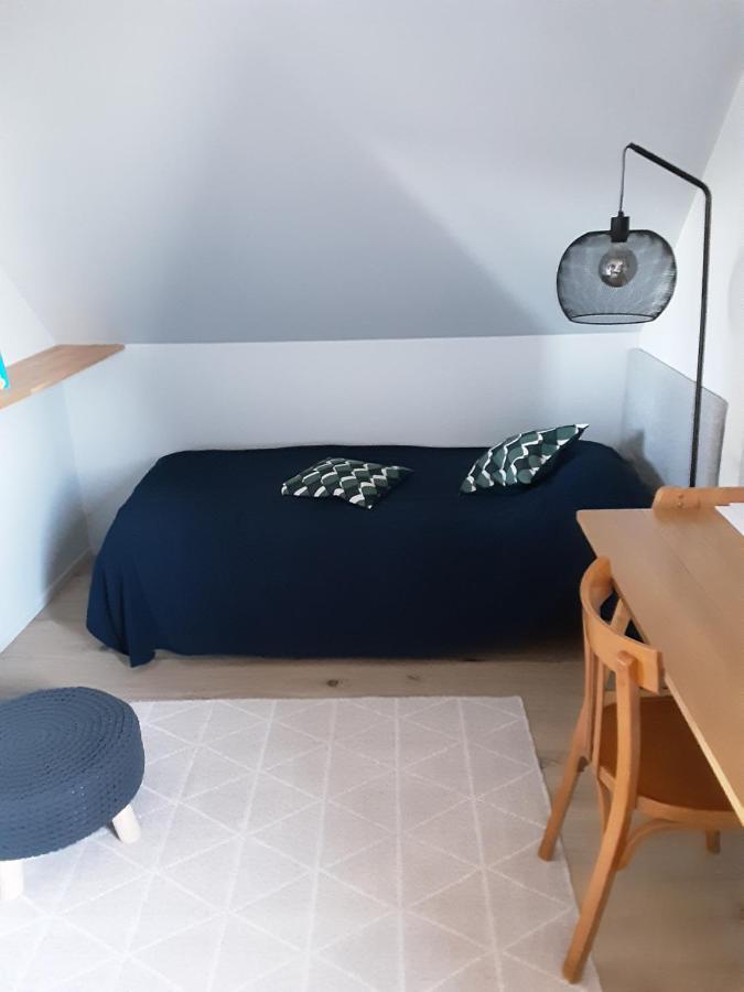 Charmant Appartement A 150 M Des Thermes Et Du Centre Ville Thonon-les-Bains Buitenkant foto