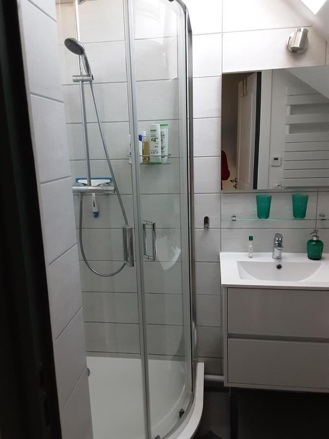 Charmant Appartement A 150 M Des Thermes Et Du Centre Ville Thonon-les-Bains Buitenkant foto