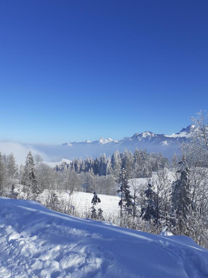 Charmant Appartement A 150 M Des Thermes Et Du Centre Ville Thonon-les-Bains Buitenkant foto