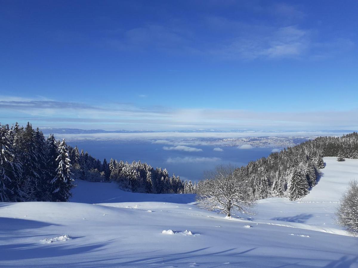 Charmant Appartement A 150 M Des Thermes Et Du Centre Ville Thonon-les-Bains Buitenkant foto