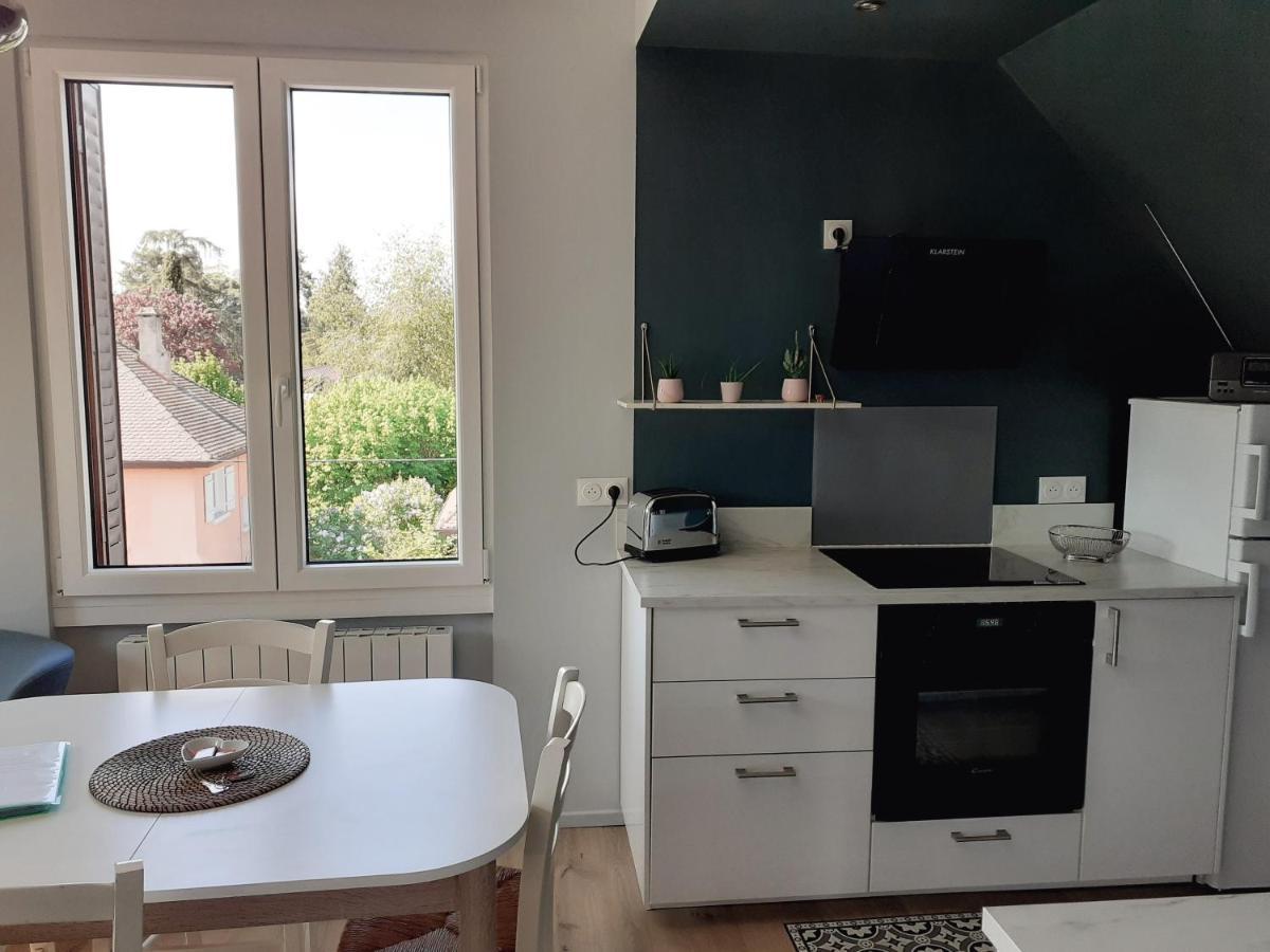 Charmant Appartement A 150 M Des Thermes Et Du Centre Ville Thonon-les-Bains Buitenkant foto